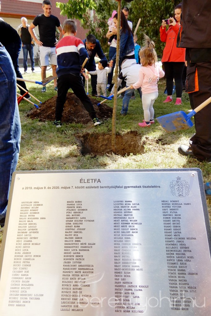 Életfa ültetés a város napján 29